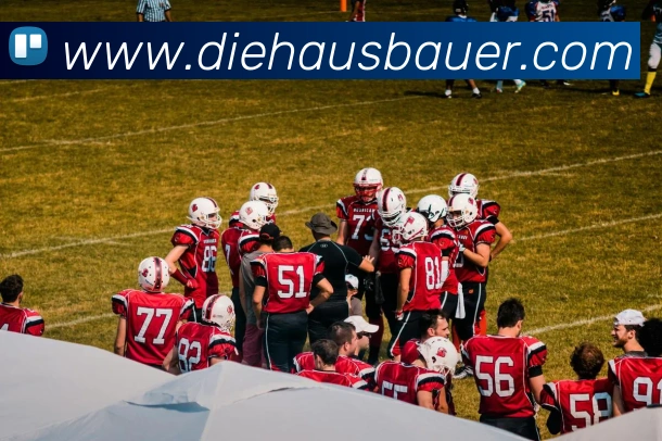 APP界面展示